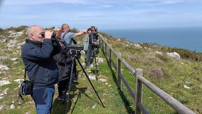 VUELOS Y CANTOS DE LA MONTAÑA ORIENTAL COSTERA (MOC)