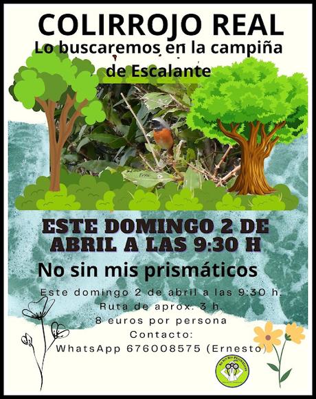 VUELOS Y CANTOS DE LA MONTAÑA ORIENTAL COSTERA (MOC)