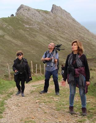 VUELOS Y CANTOS DE LA MONTAÑA ORIENTAL COSTERA (MOC)