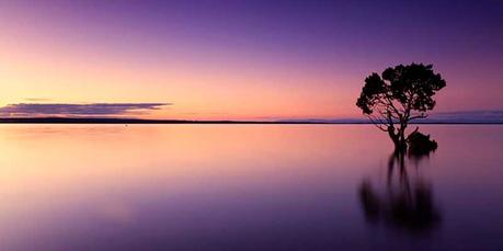 Horizonte. Imagen de Cindy Lever en Pixabay