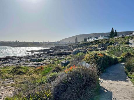 hermanus cliff path walk