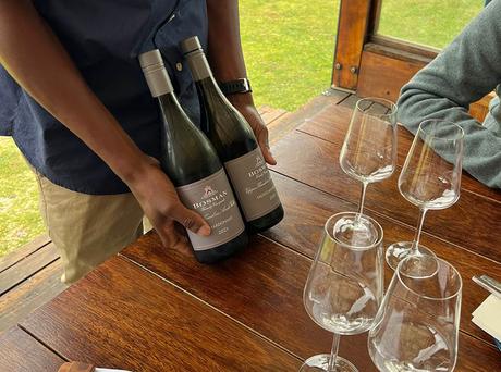 Cata de vinos en Hermanus