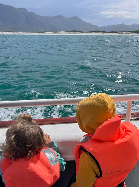 ver ballenas en Hermanus con niños