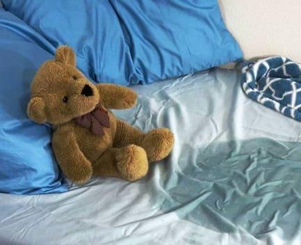 osito y pipi en la cama