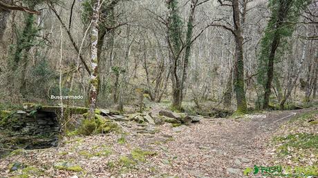 Cruce entre Busqueimado y la Seimeira