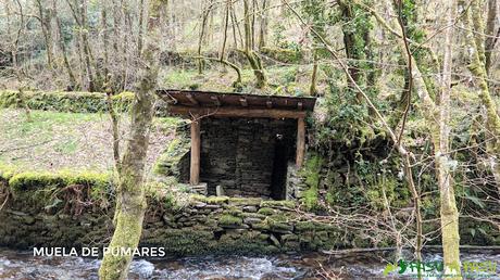 Muela de Pumares, Santa Eulalia de Oscos