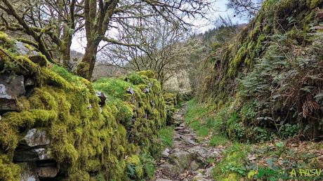 Muro armado junto al camino