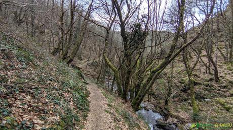Bajando de la Seimeira