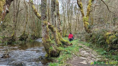 Río Agüeira y camino de la Ruta de la Seimeira