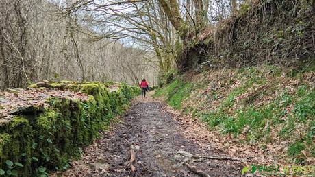Muro y camino por la Ruta de la Seimeira