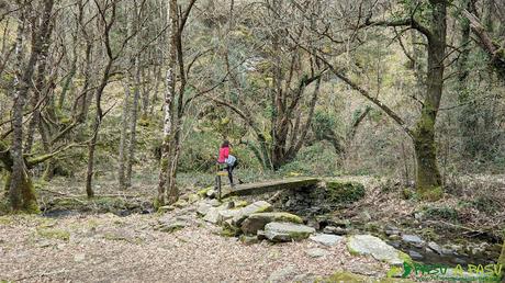 Puente hacia Busqueimado