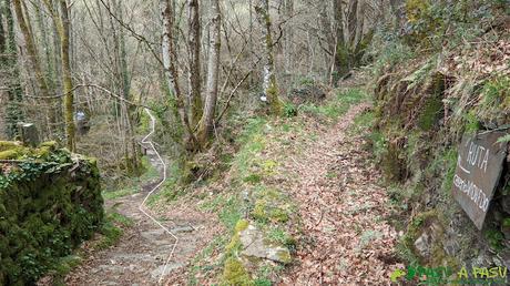 Cruce a la izquierda en la Ruta de la Seimeira