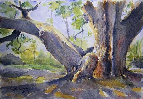 Paleta. Colores e historias