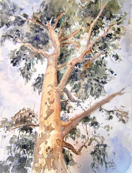 Paleta. Colores e historias