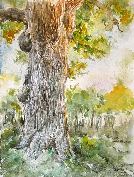 Paleta. Colores e historias