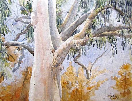 Paleta. Colores e historias