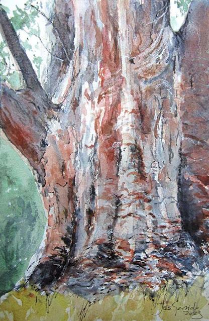 Paleta. Colores e historias