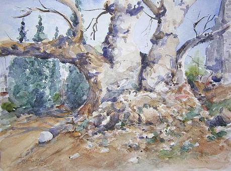 Paleta. Colores e historias