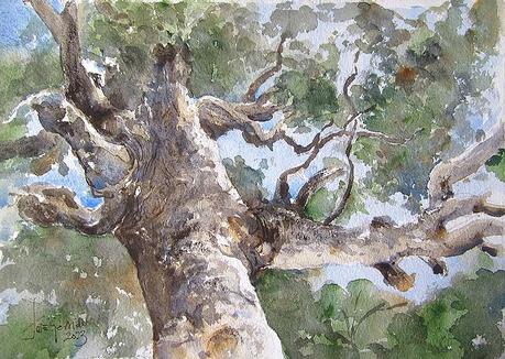 Paleta. Colores e historias