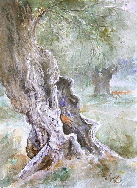 Paleta. Colores e historias