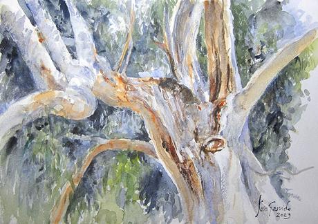 Paleta. Colores e historias