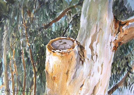 Paleta. Colores e historias