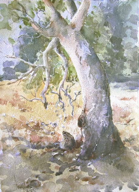 Paleta. Colores e historias