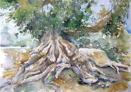 Paleta. Colores e historias