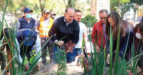 La ONU reconoce a SLP como Ciudad del Árbol del Mundo