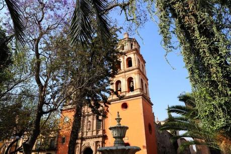 La ONU reconoce a SLP como Ciudad del Árbol del Mundo