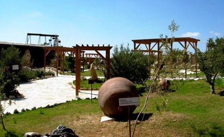 15 mejores cosas para hacer en Limassol (Chipre) Museo y parque de los olivos Oleastro