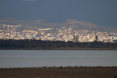 15 mejores cosas para hacer en Limassol (Chipre) Lago salado de Akrotiri