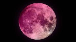 Luna ‘rosa’ de abril 2023: ¿Cuándo es y qué significa? Luna ‘rosa’ de abril 2023: ¿Cuándo es y qué significa?