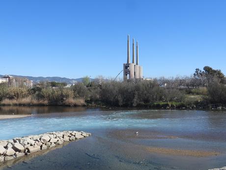 La Audouin CDJF en el agua Q+S