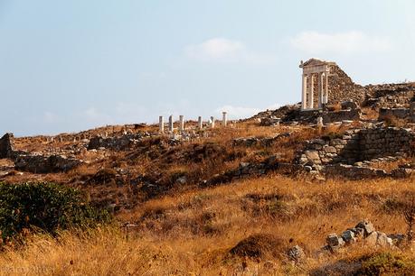 La Terraza de los Dioses Extranjeros, Delos