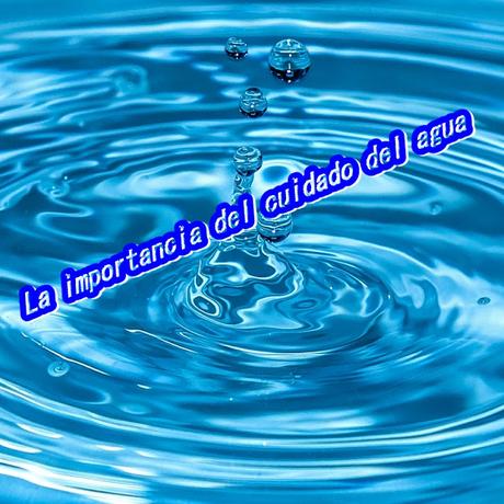 La importancia del cuidado del agua y la toma de conciencia para no desperdiciarla