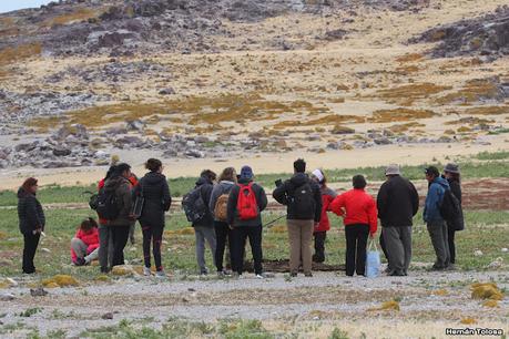 Isla Pingüino (febrero de 2022)