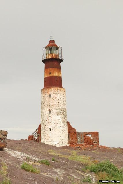 Isla Pingüino (febrero de 2022)