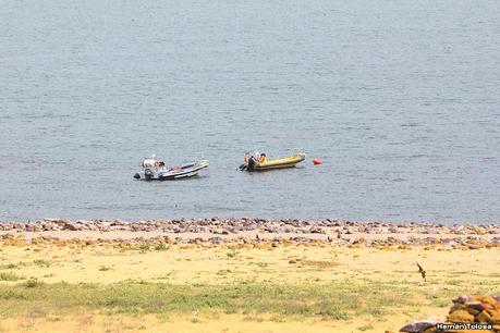 Isla Pingüino (febrero de 2022)