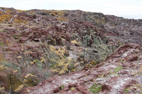 Isla Pingüino (febrero de 2022)