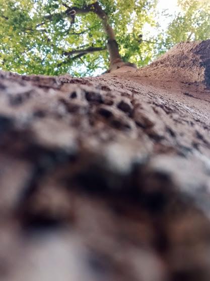 La Partícula de Dios...