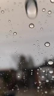 5.434 - DÍA DE NIEBLA...