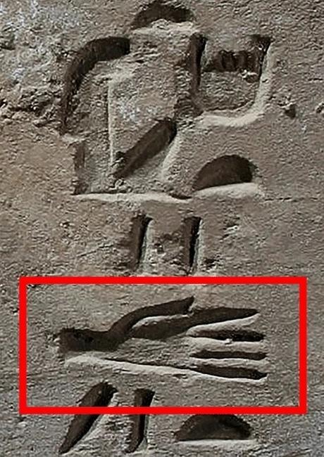 Descubren en Egipto 3 fosas con manos amputadas que pudieron ser parte de un antiguo ritual Descubren en Egipto 3 fosas con manos amputadas que pudieron ser parte de un antiguo ritual