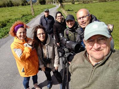 RESULTADO DE LA BÚSQUEDA DEL COLIRROJO REAL