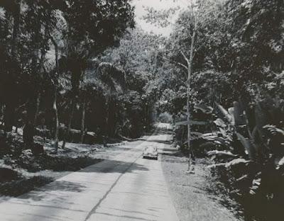 La carretera forestal en 1950