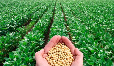 Día Internacional de Oposición a los Alimentos Transgénicos 8 de abril Día Internacional de Oposición a los Alimentos Transgénicos