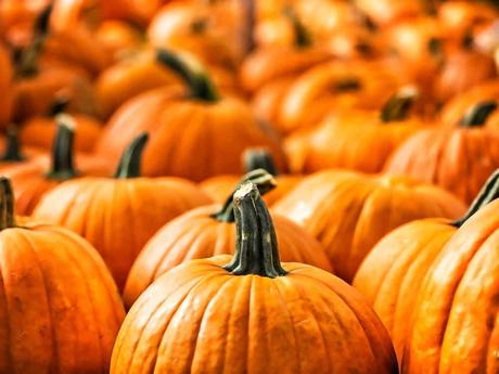 15 mejores cosas para hacer en East Bridgewater (MA)