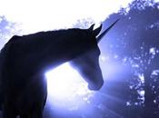 lecciones extraídas startups unicornio