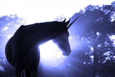 8 lecciones extraídas de las startups unicornio 8 lecciones extraídas de las startups unicornio