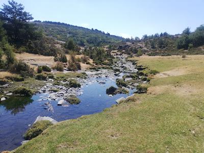 AREA RECREATIVA DE LA PONVIEJA: BASTO PARAISO ALPINO FLUVIAL ENTRE ROCAS DE PIZARRA